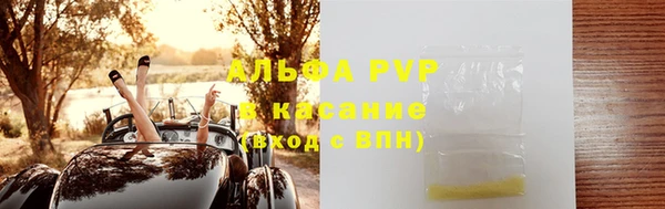 тгк Новозыбков
