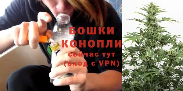 2c-b Горно-Алтайск