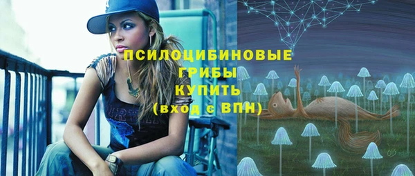 2c-b Горно-Алтайск