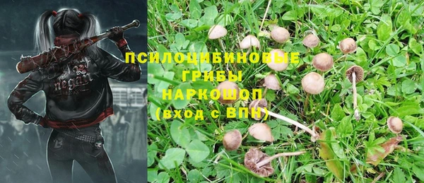меф Горняк
