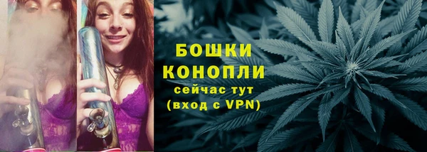 тгк Новозыбков