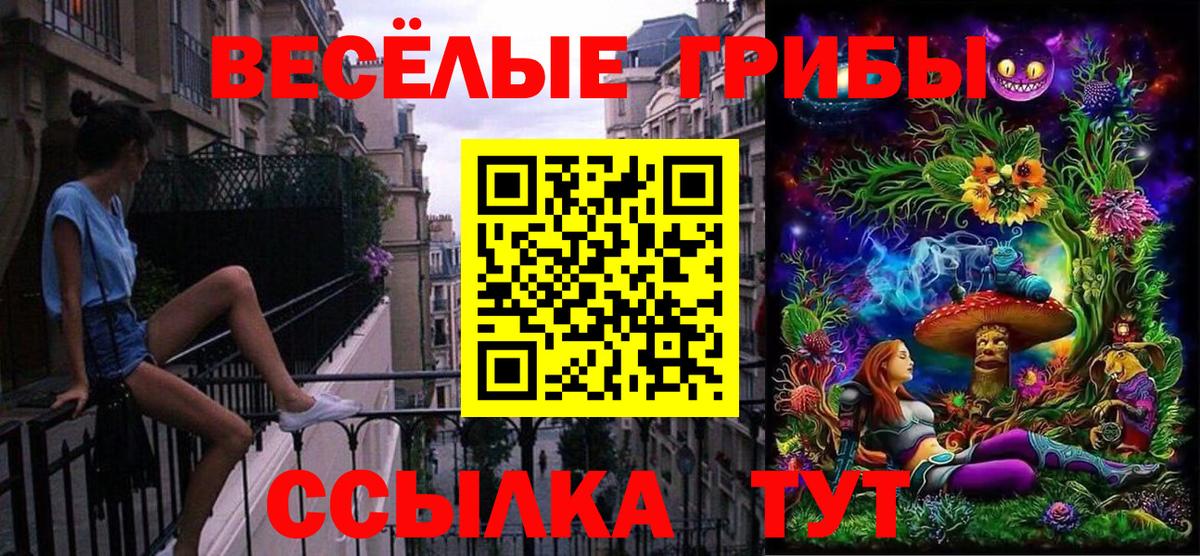 Псилоцибиновые грибы Psilocybine cubensis Пыть-Ях