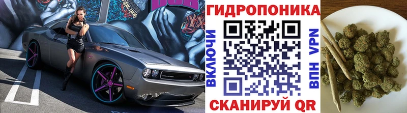 Конопля планчик  Пыть-Ях 
