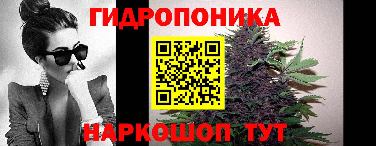 Конопля марихуана Пыть-Ях